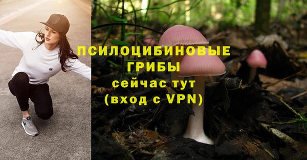 кристаллы Белокуриха