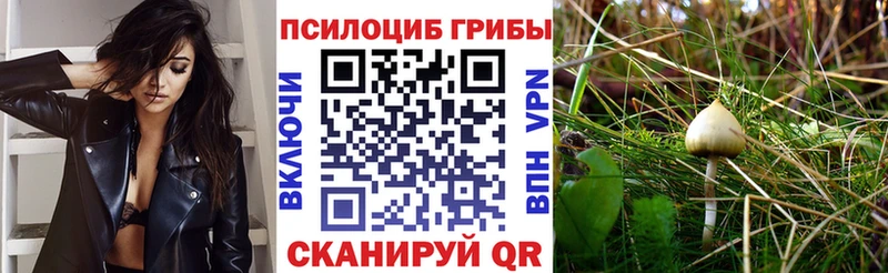 Псилоцибиновые грибы мухоморы  Кувандык 